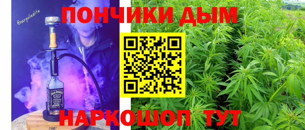Каннабис VHQ  Канабис планчик  Куйбышев  Вход с VPN  Бошки марихуана SATIVA & INDICA 